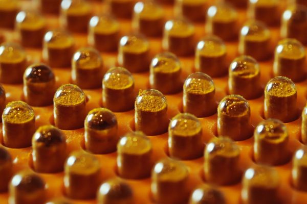pexels-photo-22020984 Detailed view of orange capsules arranged in rows with selective focus.