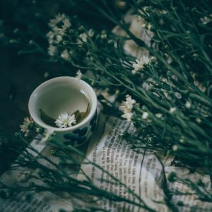 pexels-photo-667229-667229 A delicate still life showcasing a teacup and flowers on a newspaper background.